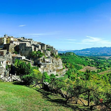 Cortile Nel Borgo Διαμέρισμα Civitella dʼAgliano Εξωτερικό φωτογραφία